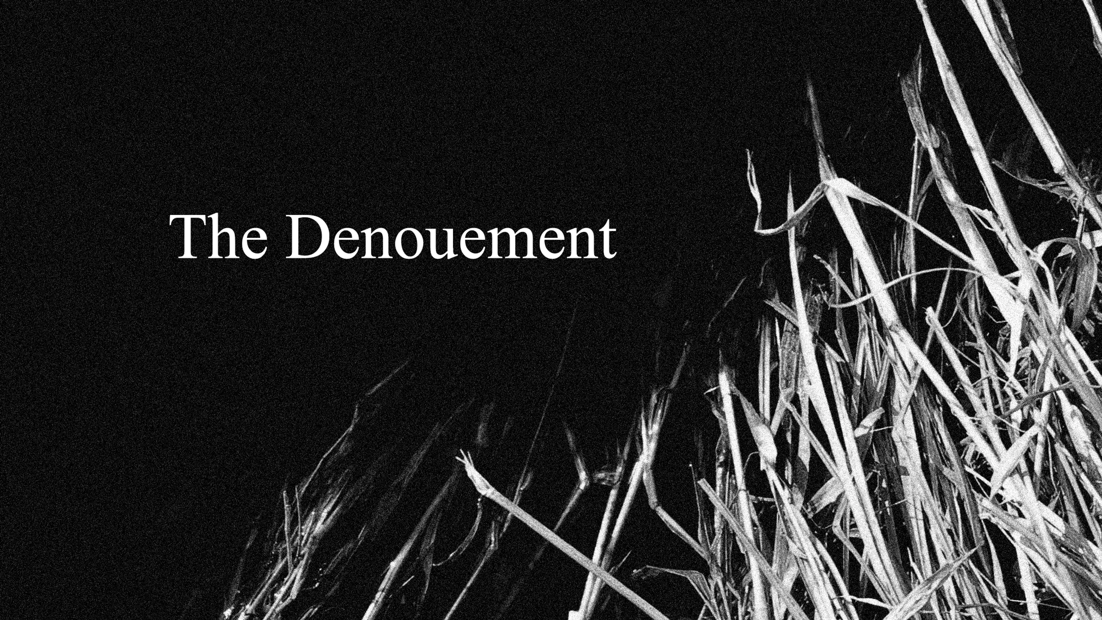 The Denouement poster